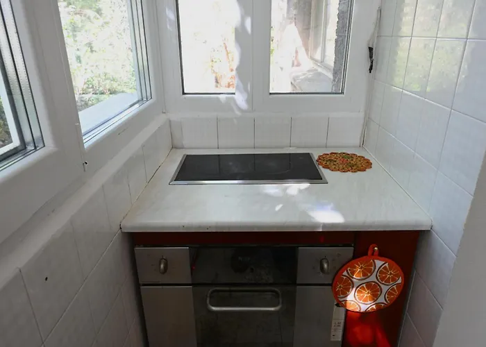 Urban Oasis Appartement