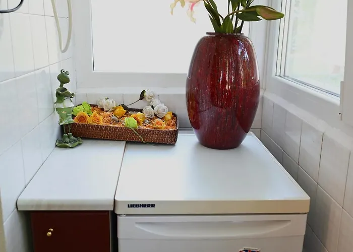 Urban Oasis Apartment *